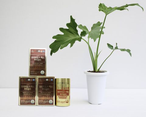 TINH DẦU THÔNG ĐỎ Premium P – MAX POWER GOLD 100 VIÊN HÀN QUỐC